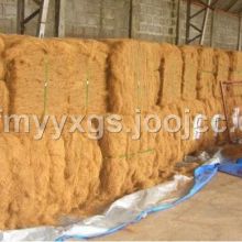 藁城市祥云日用品廠 專業(yè)生產(chǎn)椰棕不沾油鍋刷與豬鬃日用品