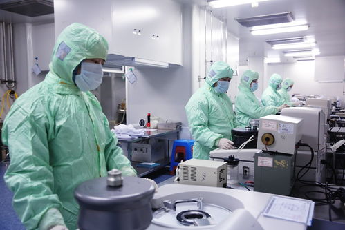 生物科技賦能，看長春新區產業發展的堅實底氣與未來藍圖